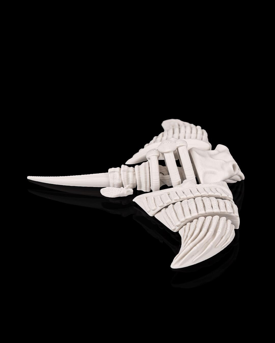 Skeleton Manta Ray - Deep Sea Collection