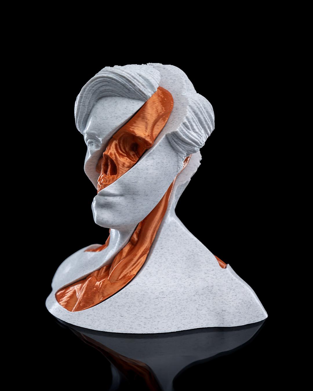 Whirl's Anatomy - 3D Printed Anatomical Fidget Toy for Art Lovers & Stress Relief