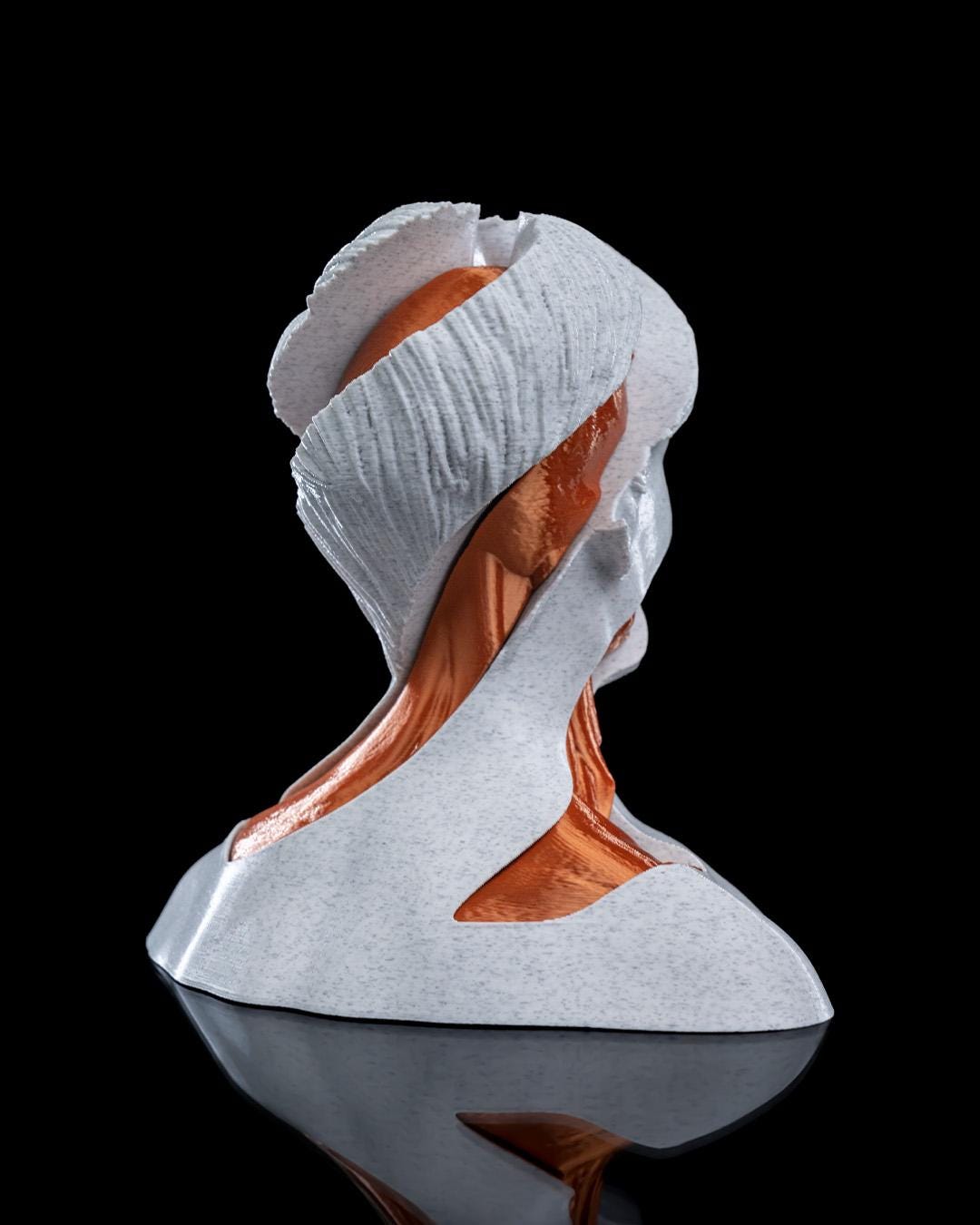 Whirl's Anatomy - 3D Printed Anatomical Fidget Toy for Art Lovers & Stress Relief