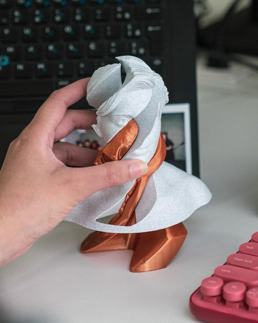 Whirl's Anatomy - 3D Printed Anatomical Fidget Toy for Art Lovers & Stress Relief