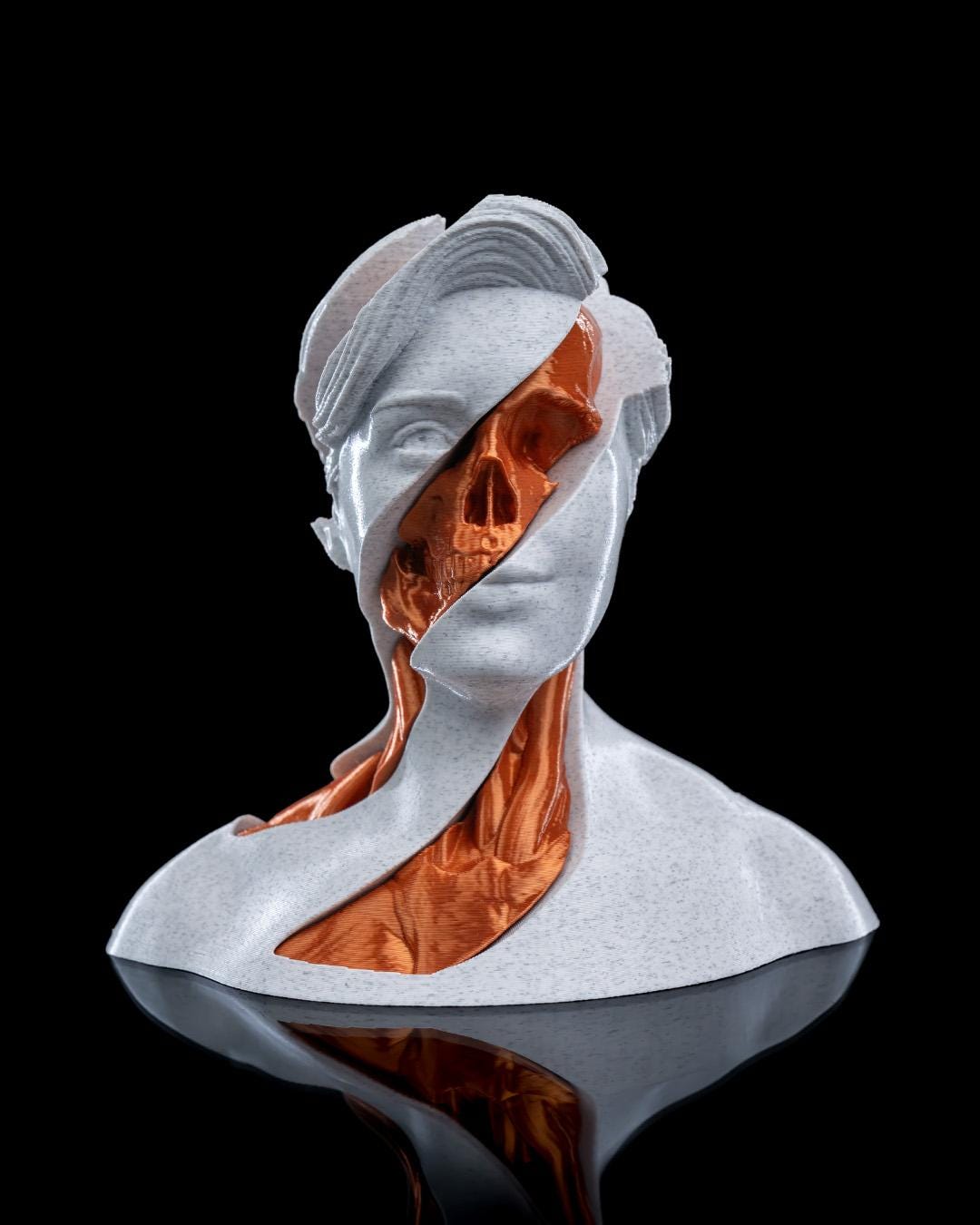 Whirl's Anatomy - 3D Printed Anatomical Fidget Toy for Art Lovers & Stress Relief
