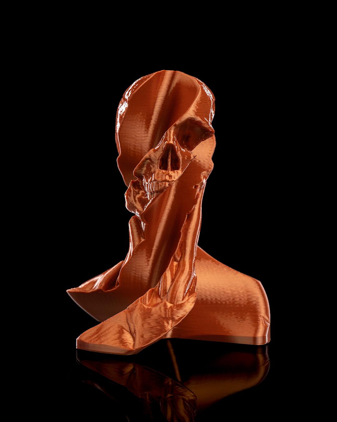 Whirl's Anatomy - 3D Printed Anatomical Fidget Toy for Art Lovers & Stress Relief
