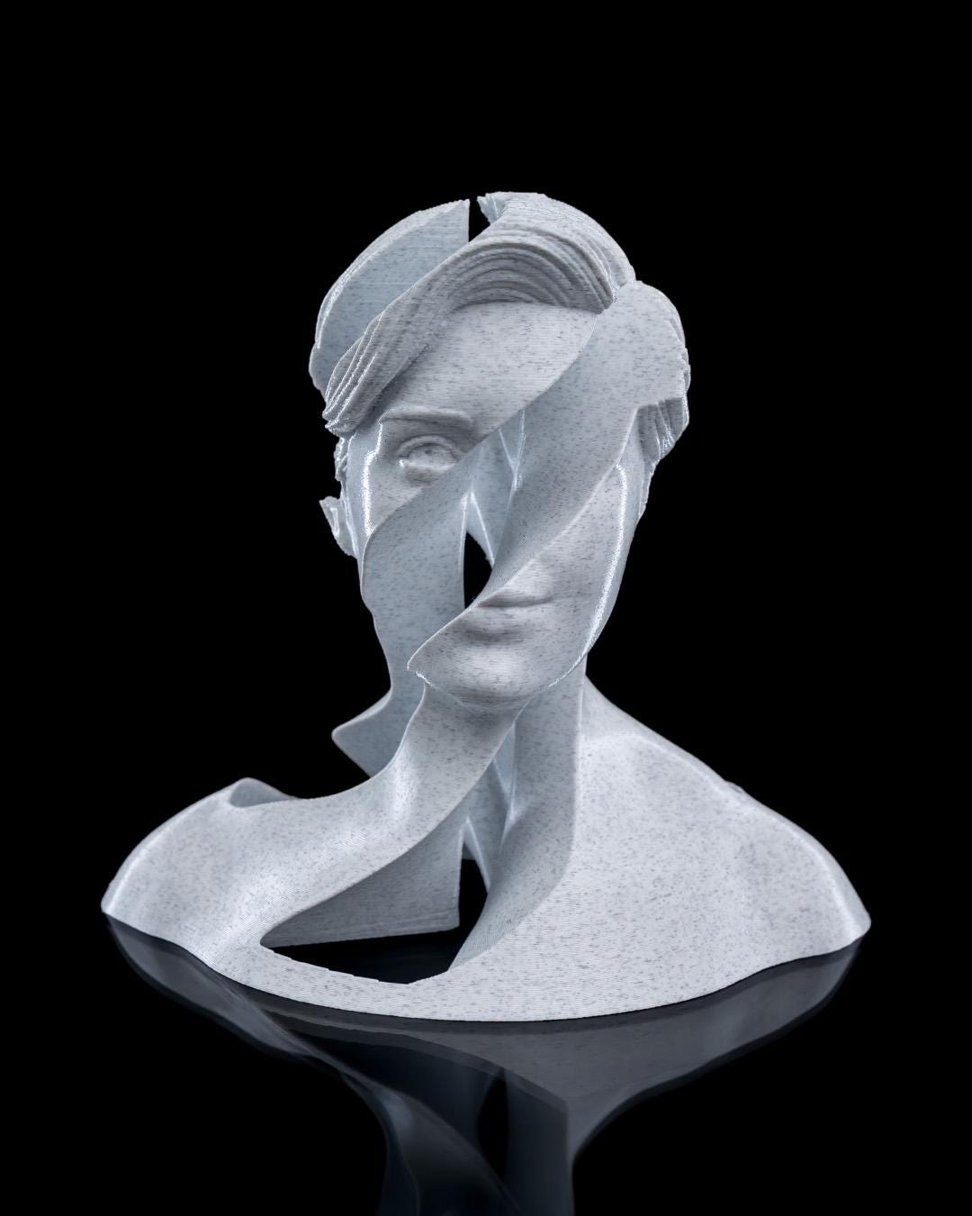 Whirl's Anatomy - 3D Printed Anatomical Fidget Toy for Art Lovers & Stress Relief