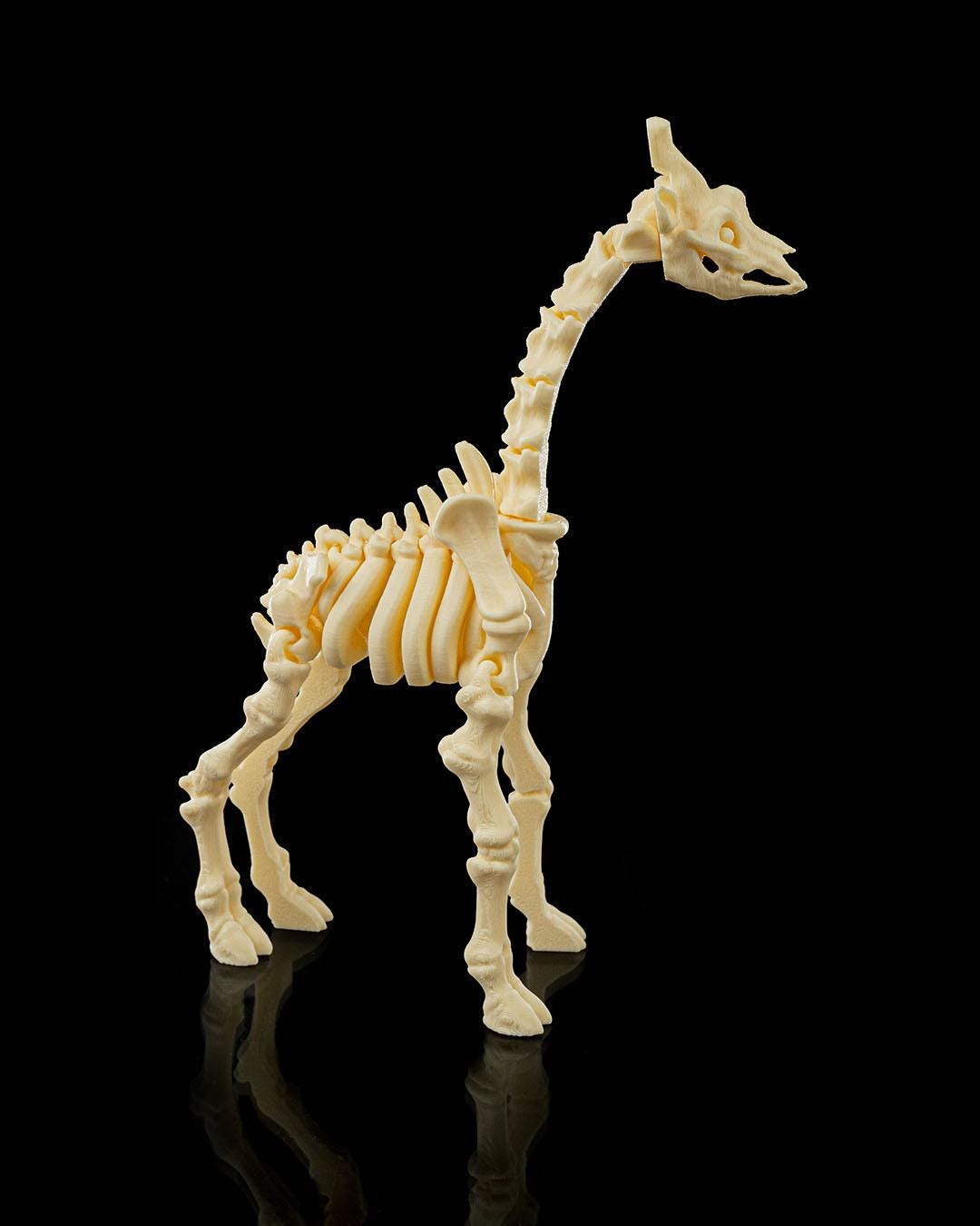 Skeleton Giraffe Figurine - Articulated Pet Collectible