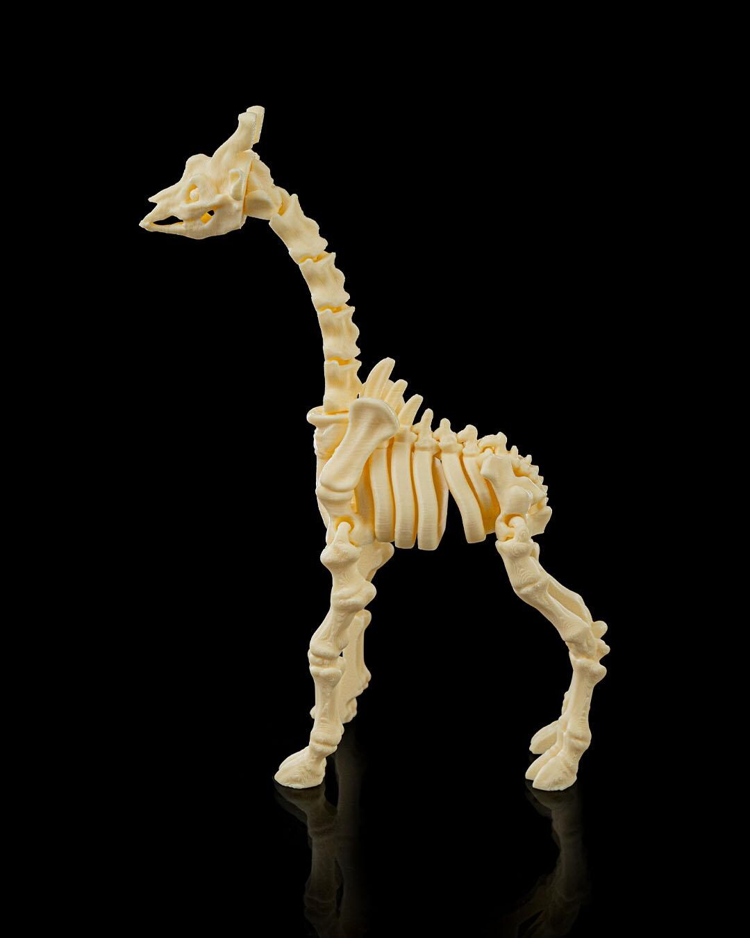 Skeleton Giraffe Figurine - Articulated Pet Collectible