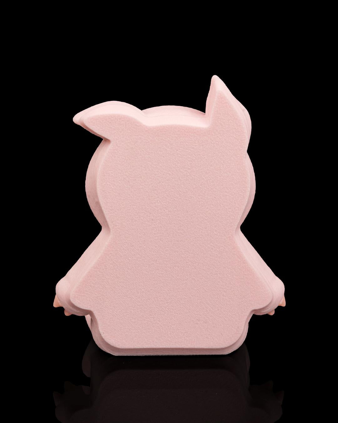 Pork Belly - fidget toys