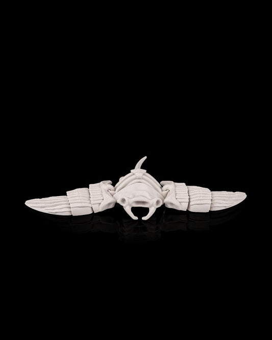 Skeleton Manta Ray - Deep Sea Collection