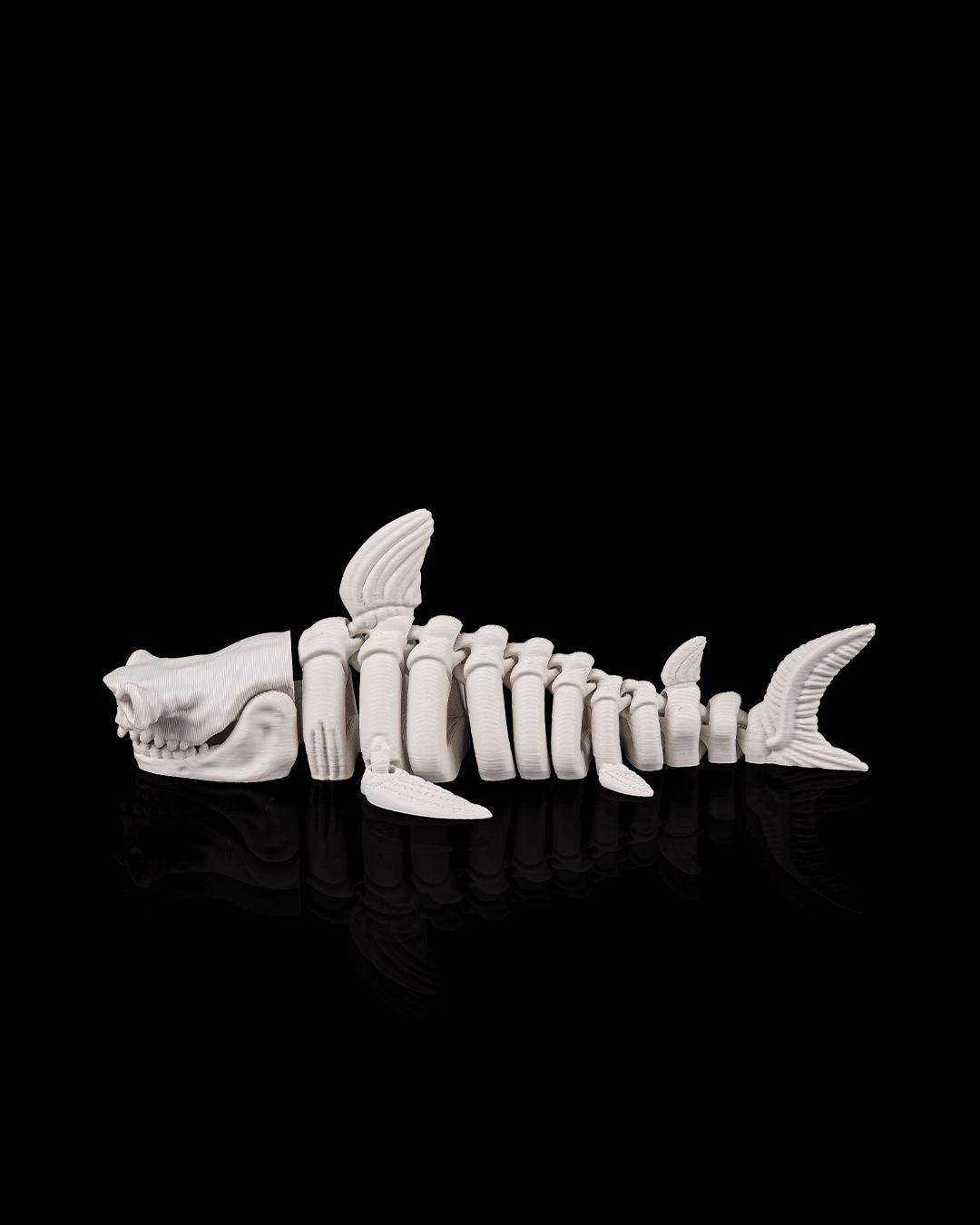 Skeleton Shark - Deep Sea Collection