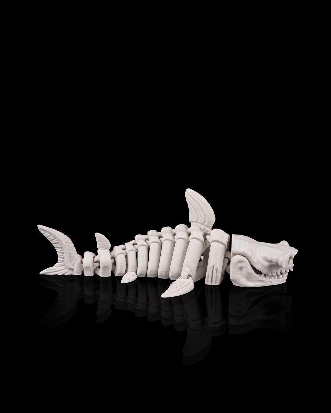 Skeleton Shark - Deep Sea Collection