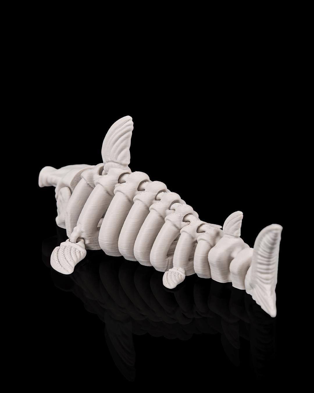 Skeleton Shark - Deep Sea Collection