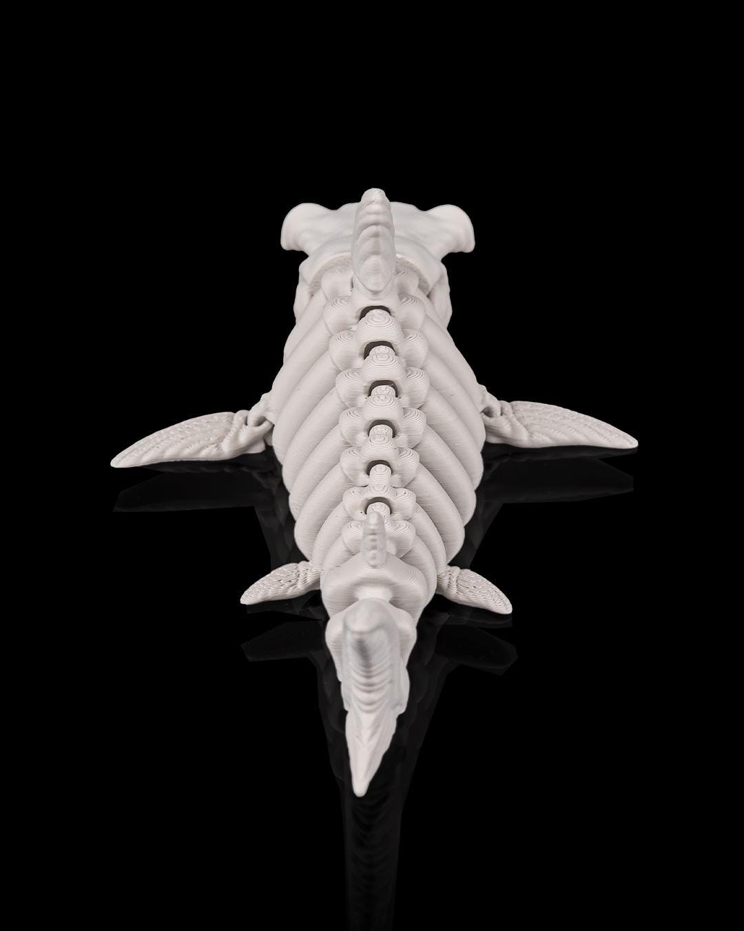 Skeleton Shark - Deep Sea Collection