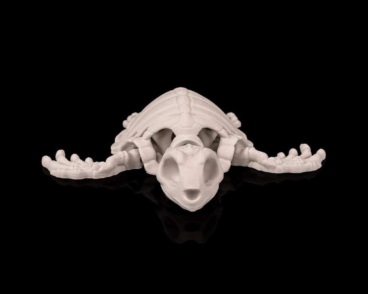Skeleton Turtle - Deep Sea Collection