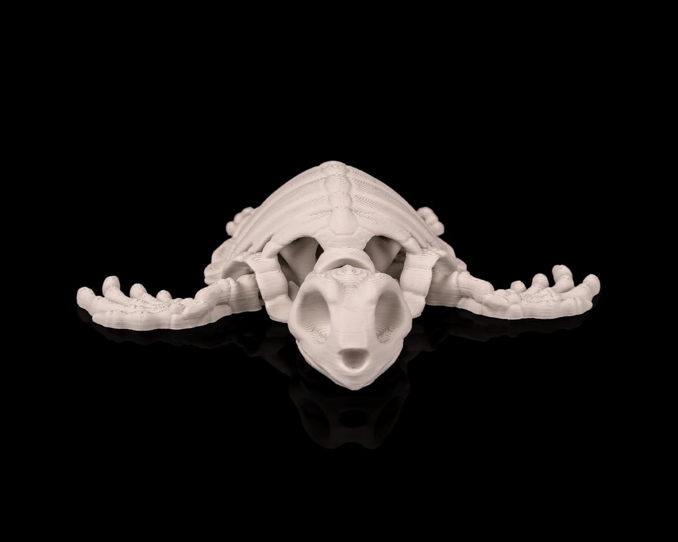 Skeleton Turtle - Deep Sea Collection