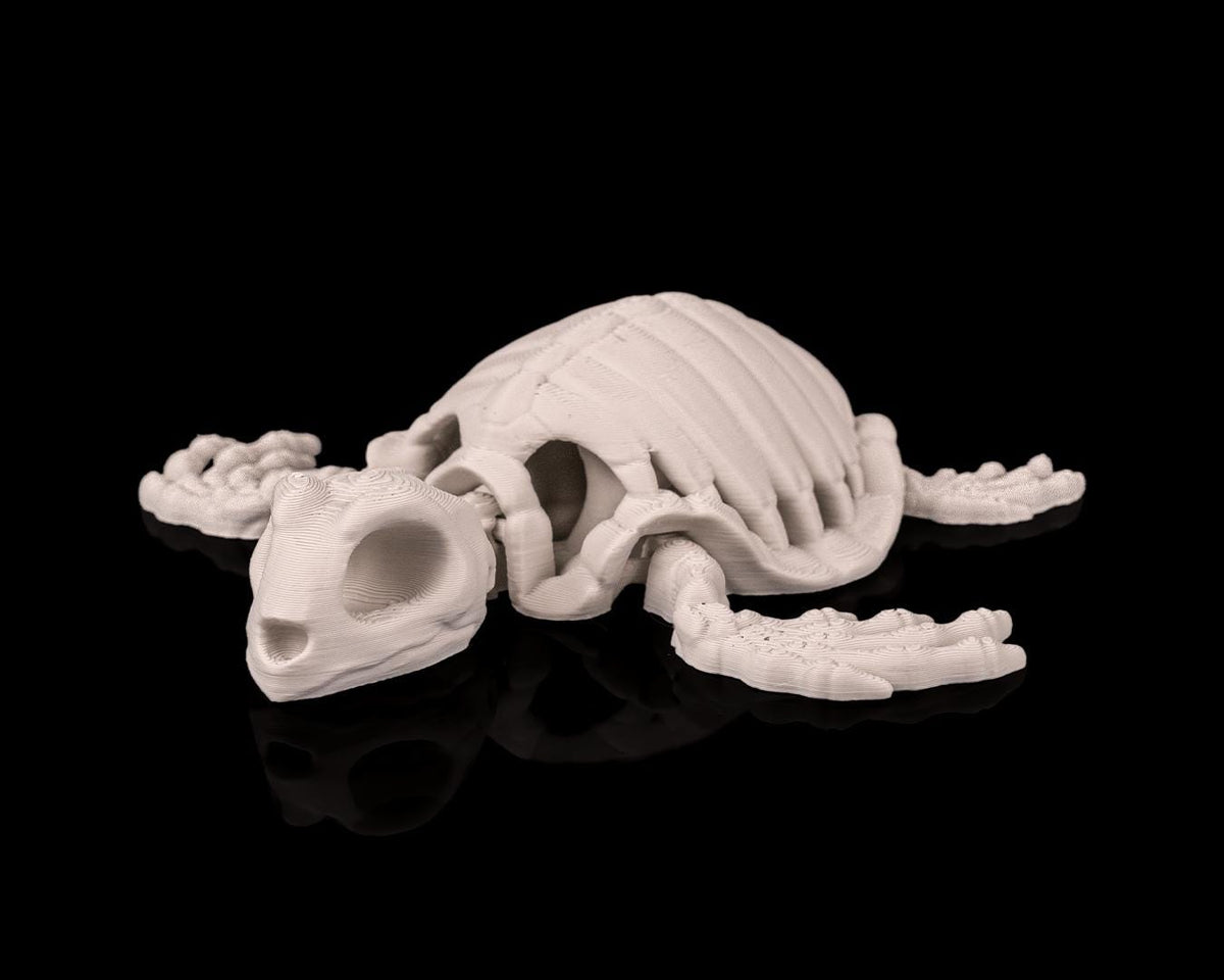 Skeleton Turtle - Deep Sea Collection