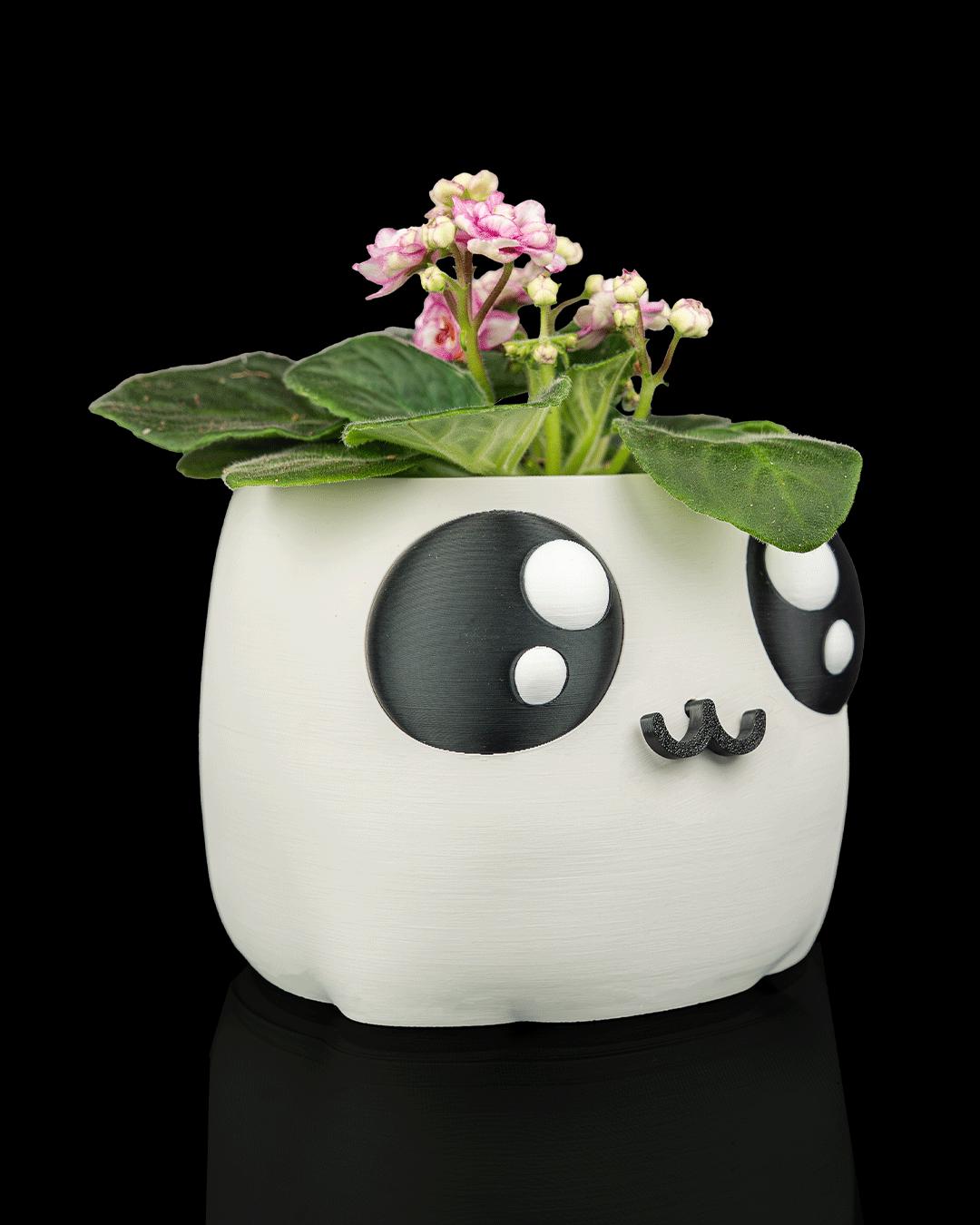 Bloop Face - Planter