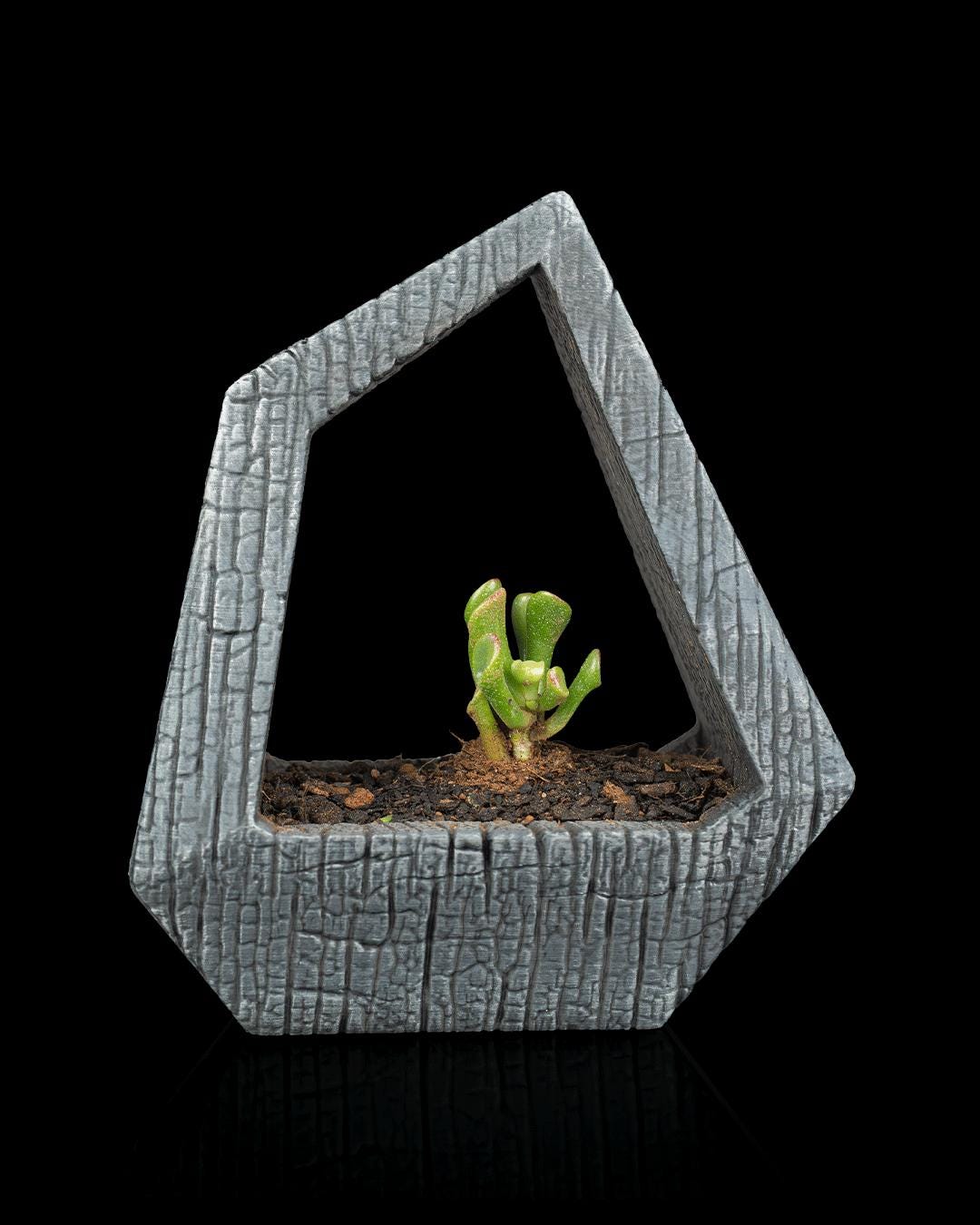 Obsidian Frame - Self-Watering Planter