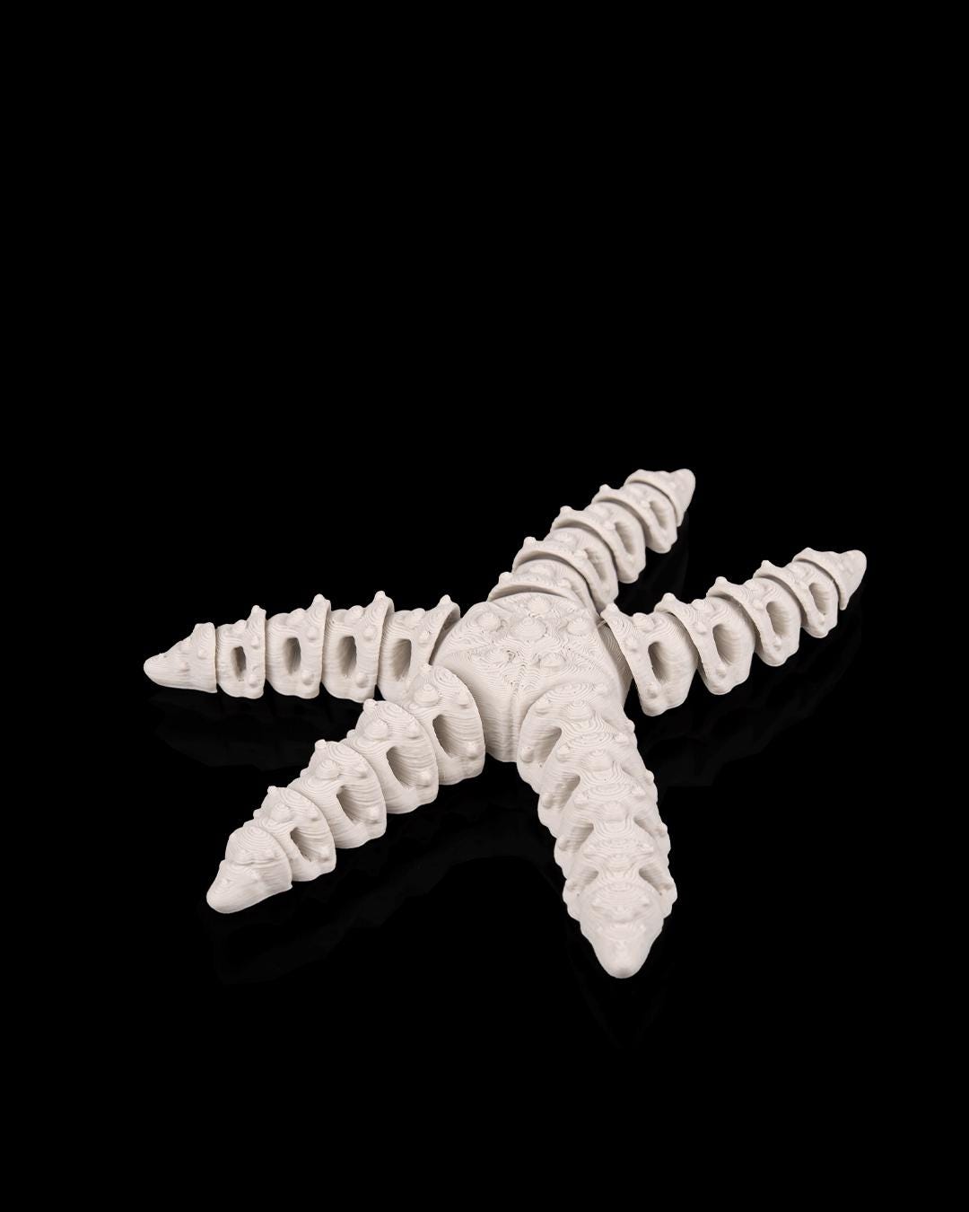 Skeleton Starfish - Deep Sea Collection
