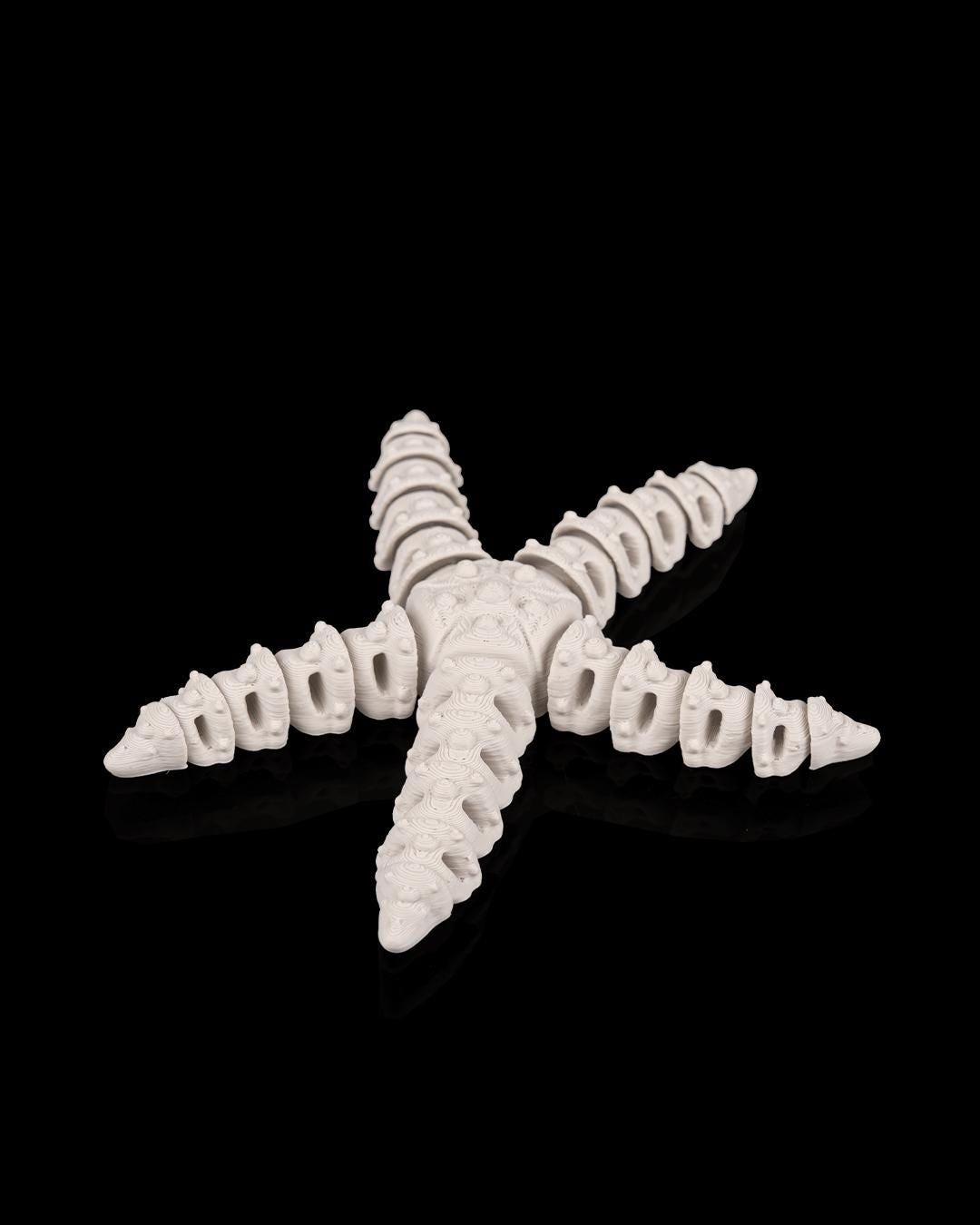 Skeleton Starfish - Deep Sea Collection