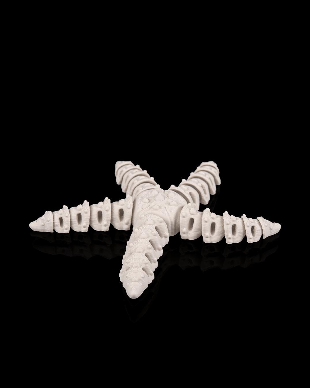 Skeleton Starfish - Deep Sea Collection