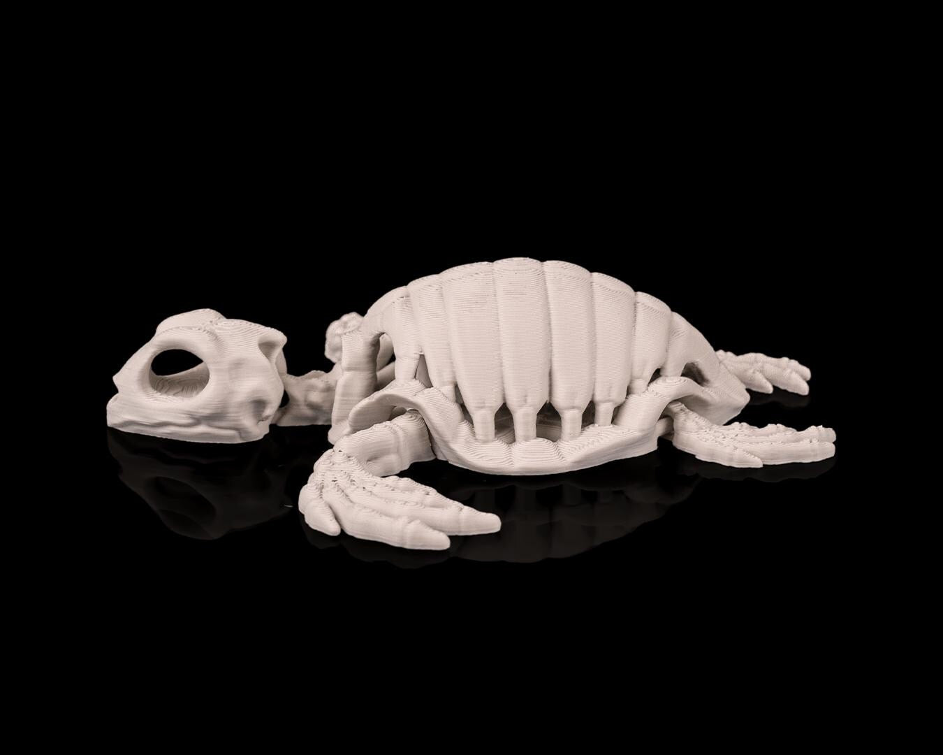 Skeleton Turtle - Deep Sea Collection
