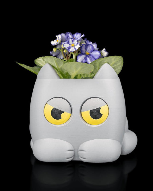 Grumpy Kitty - Planter