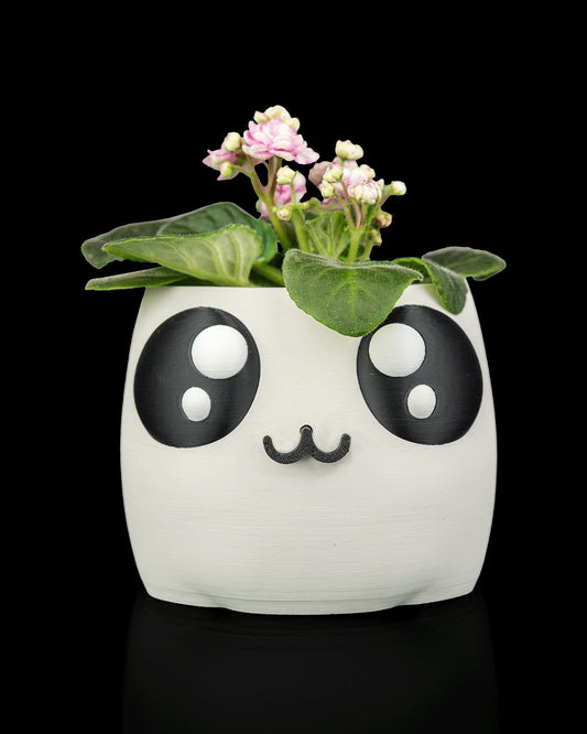 Bloop Face - Planter