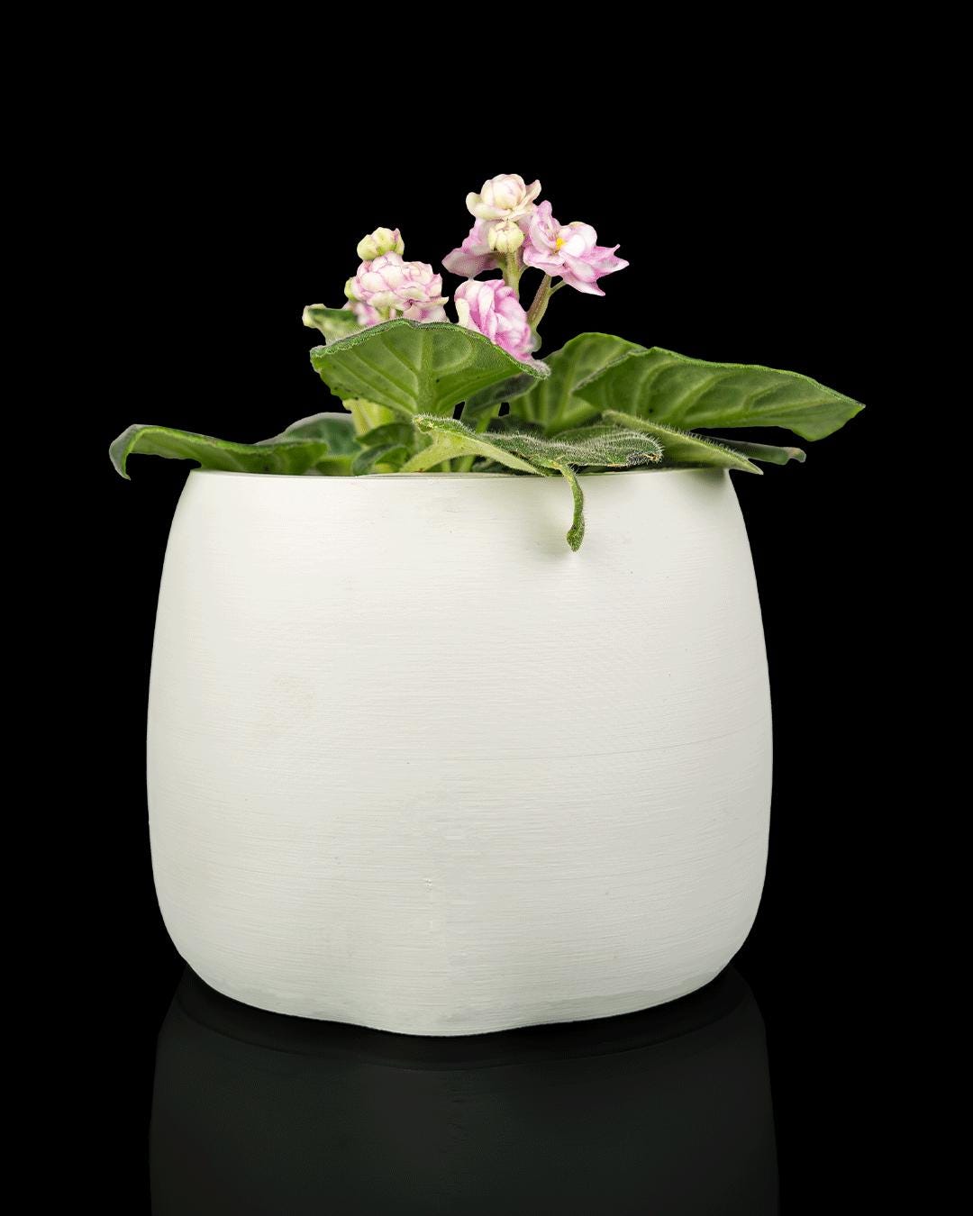 Bloop Face - Planter