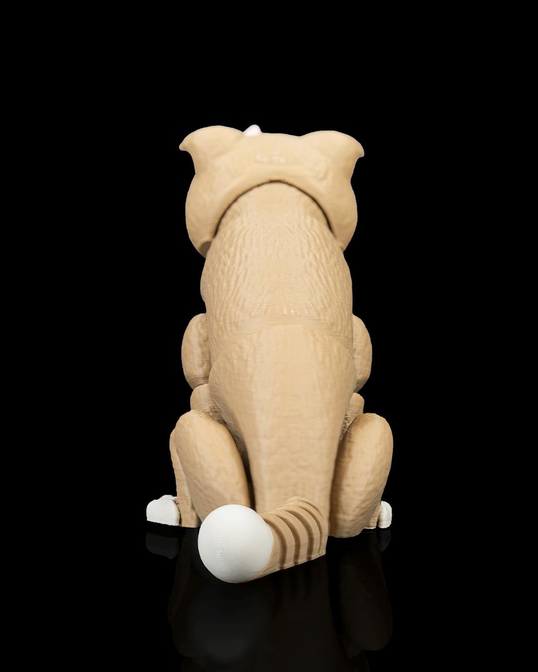 Articulated Scottish Fold Cat Fidget Toy, Flexi 3D Printed Folded Ear Cat with 2 Heads, Desk Pet Gift for Cat Lovers