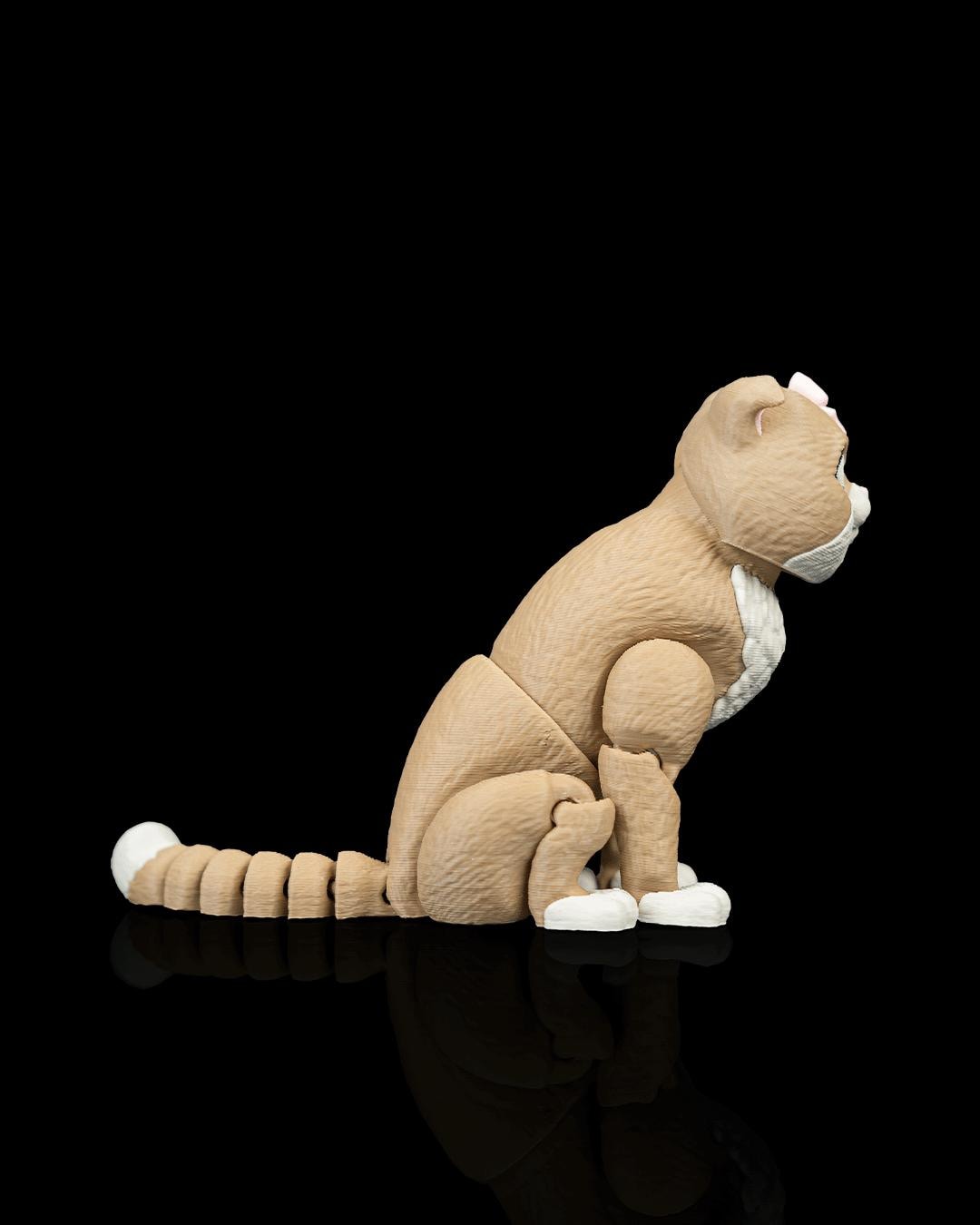 Articulated Scottish Fold Cat Fidget Toy, Flexi 3D Printed Folded Ear Cat with 2 Heads, Desk Pet Gift for Cat Lovers