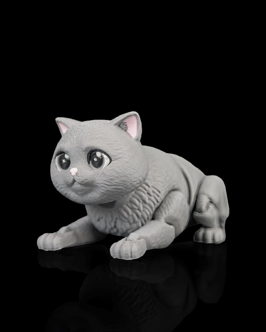 Articulated British Shorthair Cat Fidget Toy, Flexi 3D Printed Cat with 2 Interchangeable Heads, Desk Pet Gift for Cat Lovers