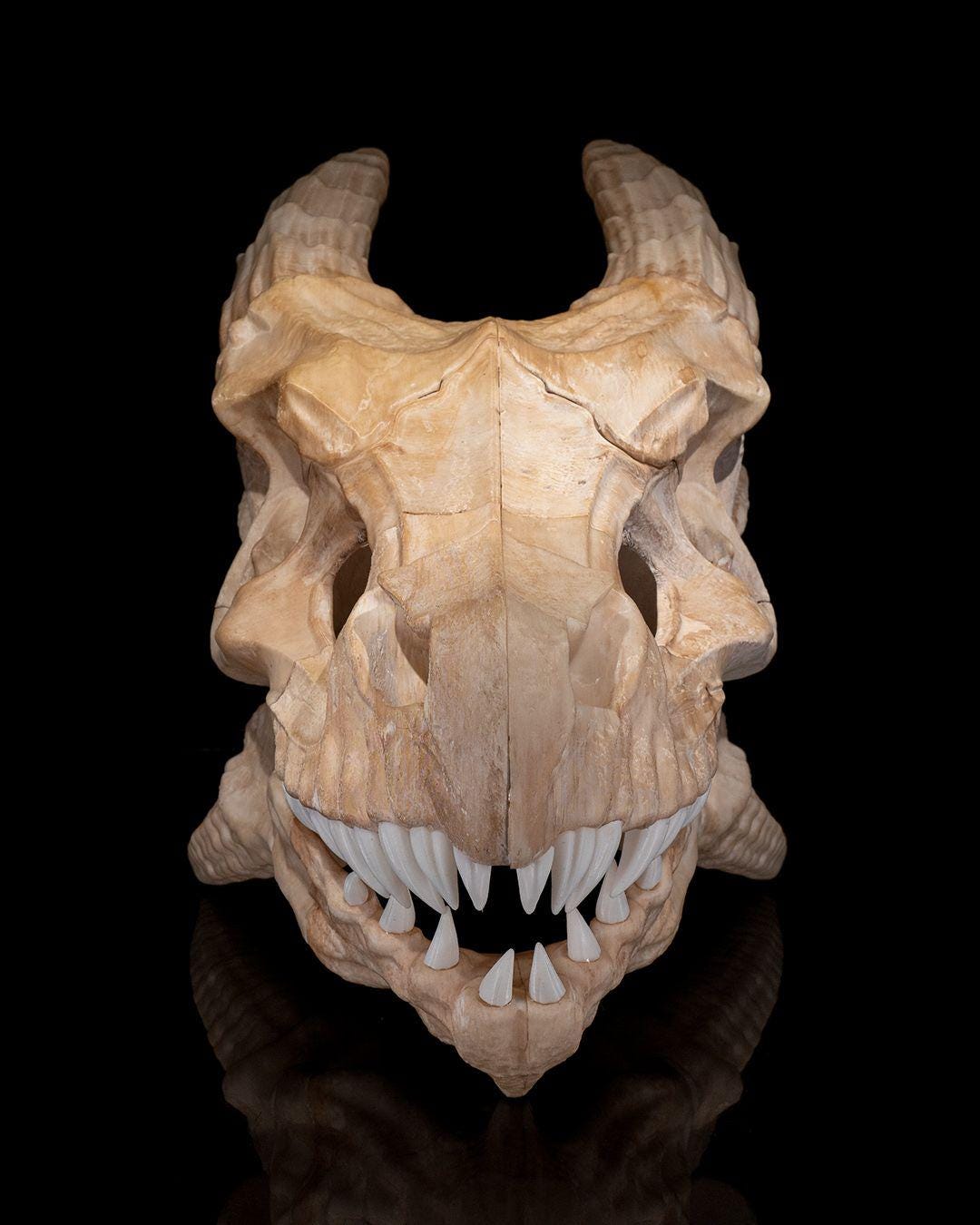 3D Printed Epic Red Dragon Skull – Multicolor Fantasy Display Piece