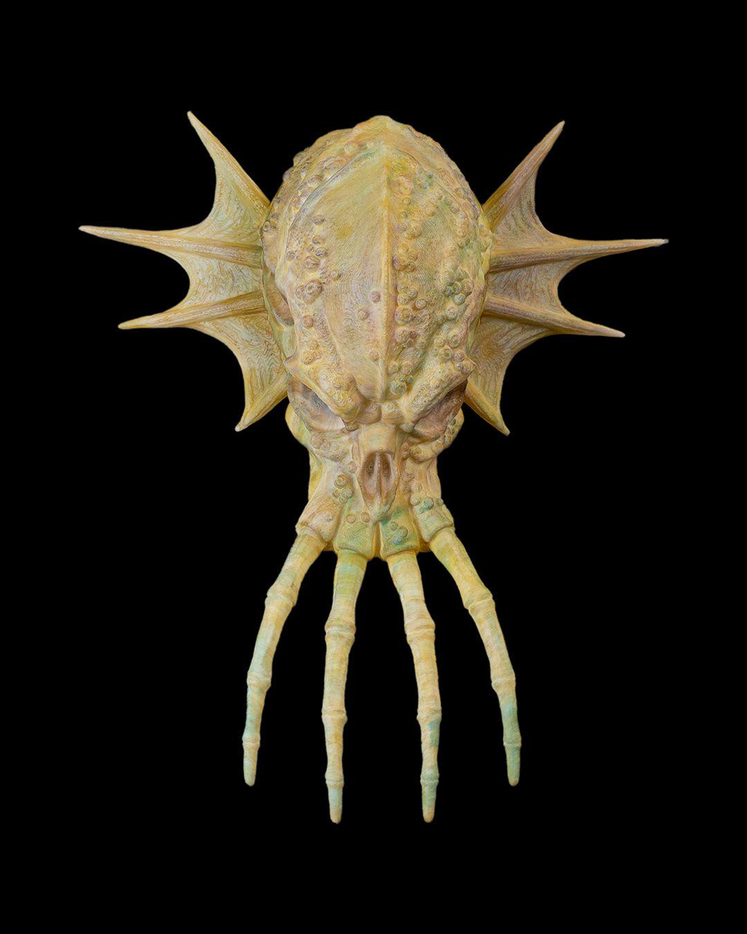 Green Dragon Skull – Fantasy Display Piece